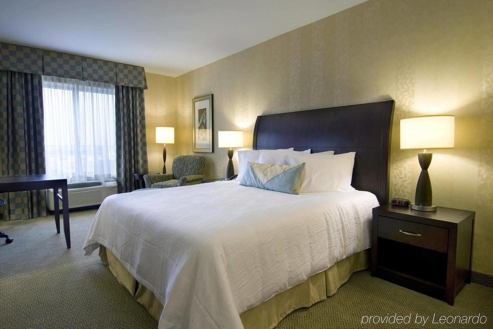 Hilton Garden Inn Detroit/Нови Стая снимка